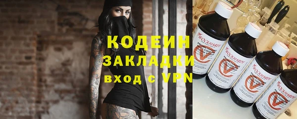 шишки Надым