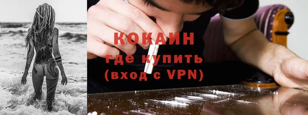 шишки Надым