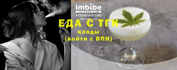 шишки Надым
