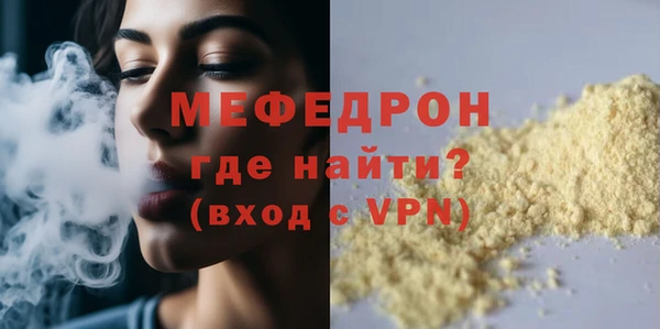 шишки Надым