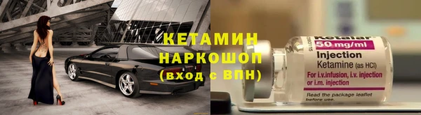 шишки Надым