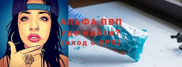 шишки Надым