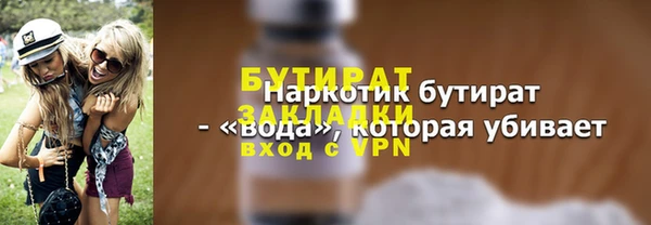 шишки Надым