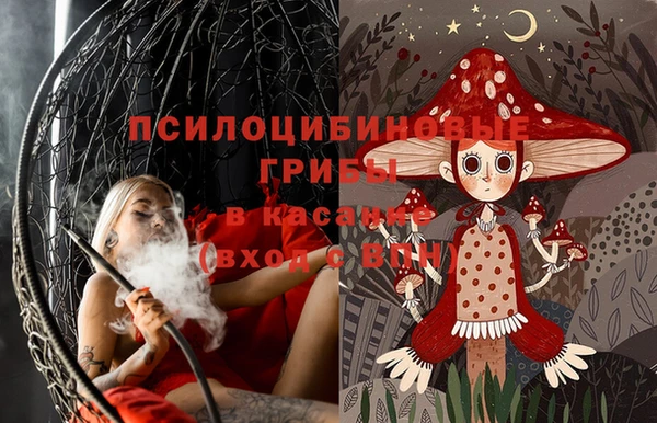 шишки Надым