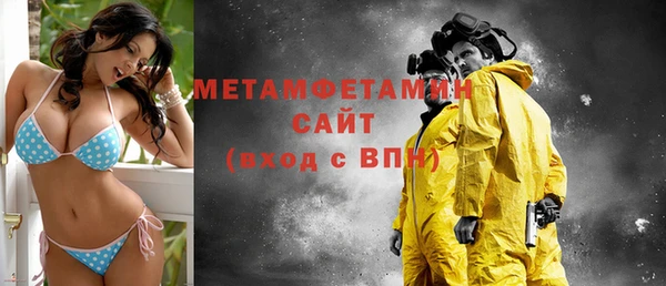 шишки Надым