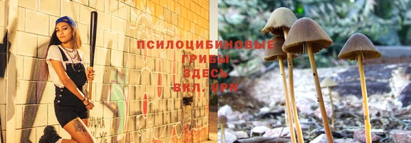 шишки Надым