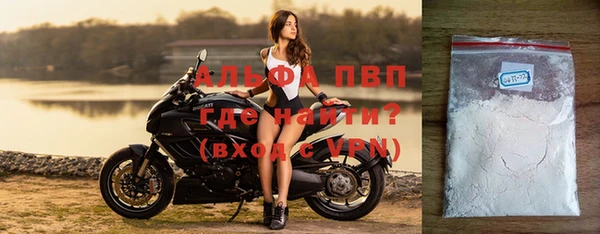 шишки Надым