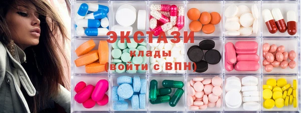 шишки Надым