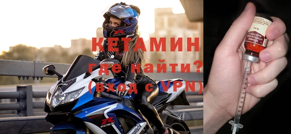 шишки Надым