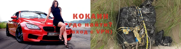 шишки Надым