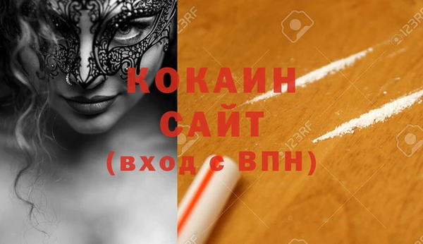 шишки Надым