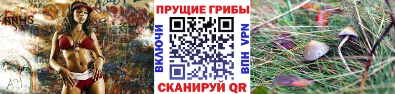 Псилоцибиновые грибы прущие грибы  Юрьев-Польский 