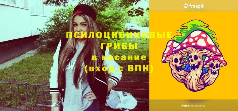 Псилоцибиновые грибы Cubensis  как найти закладки  Юрьев-Польский 